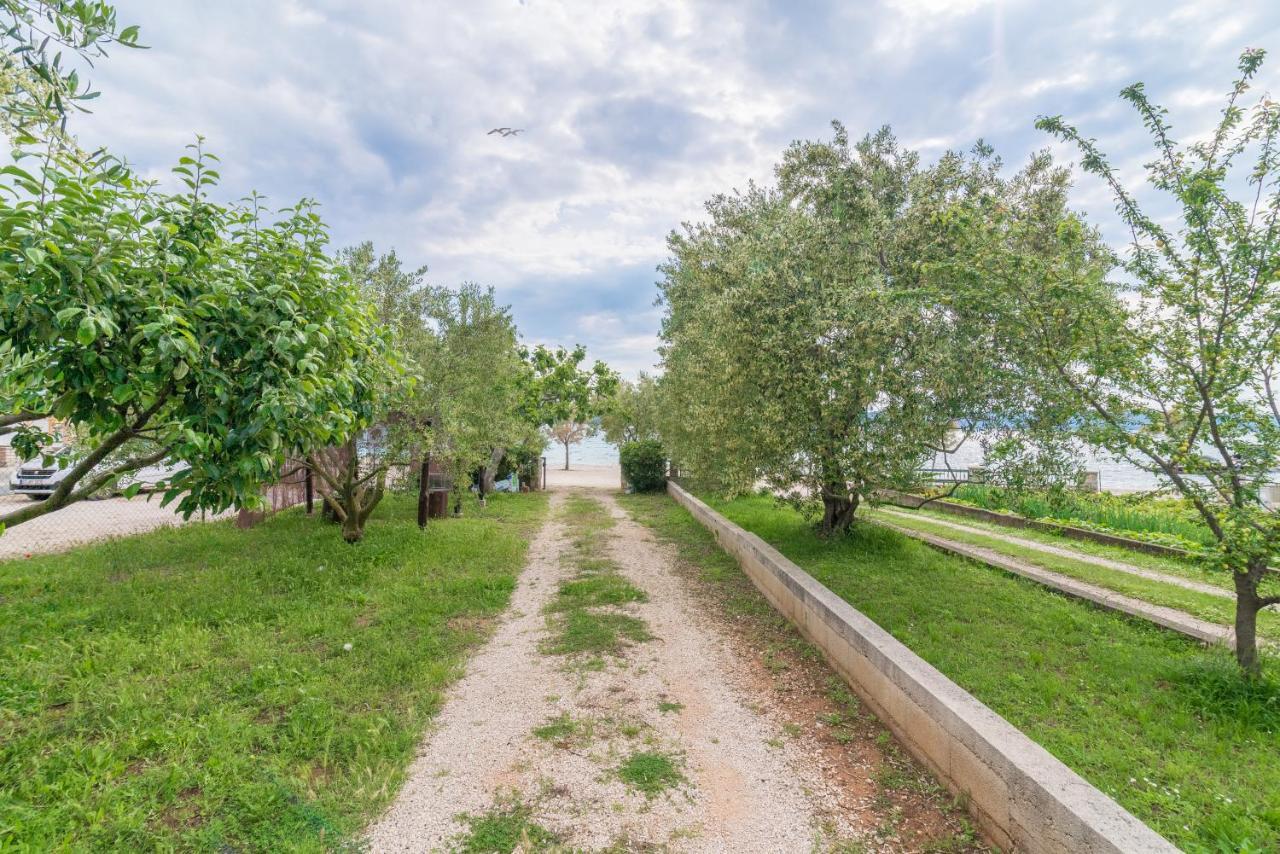 Apartments Bepina Biograd Na Moru Εξωτερικό φωτογραφία